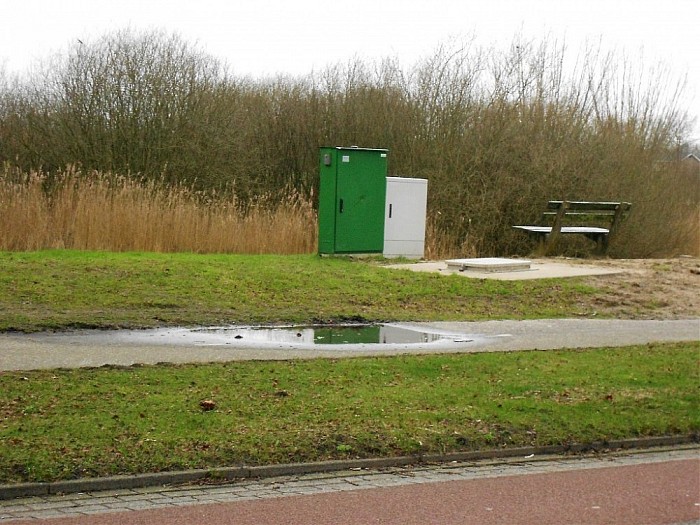 Waarom niet alle twee groen? - Foto: Eigen geleverde foto
