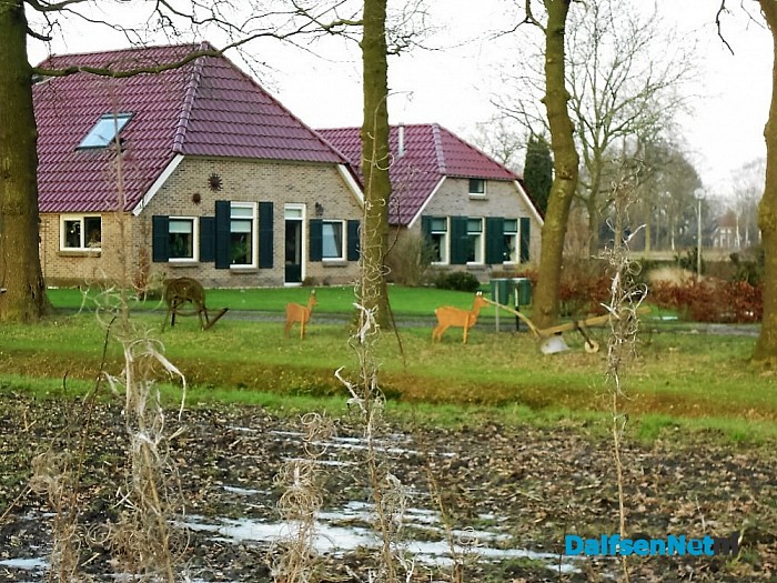 Reeën wisten niet van wijken