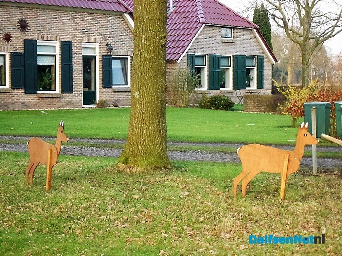 Reeën wisten niet van wijken
