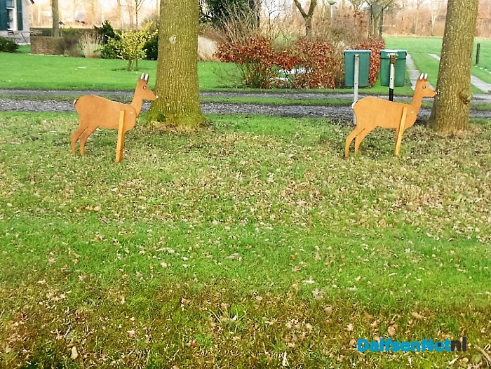 Reeën wisten niet van wijken