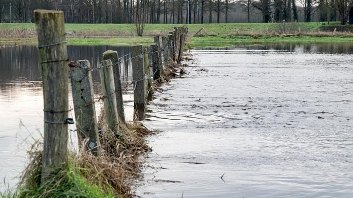 Langs de oevers van de Vecht - Foto: Thomas Klomp