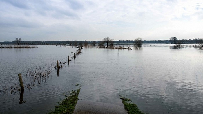 Langs de oevers van de Vecht - Foto: Thomas Klomp