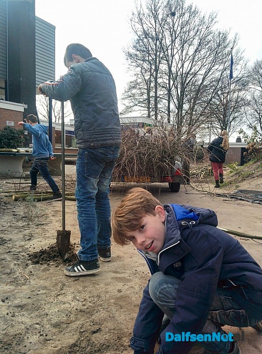 Wilgentenentunnel op het plein van de Cazemierschool