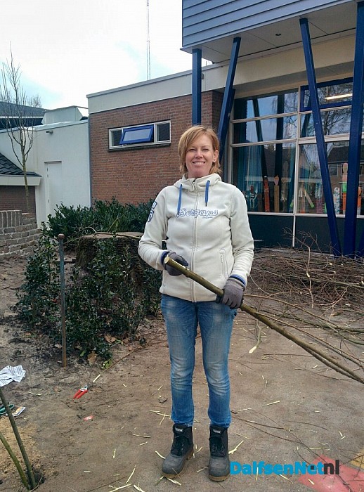 Wilgentenentunnel op het plein van de Cazemierschool