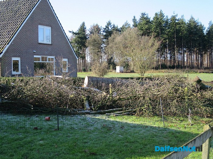 Berging trein verloopt voorspoedig - Foto: Wim