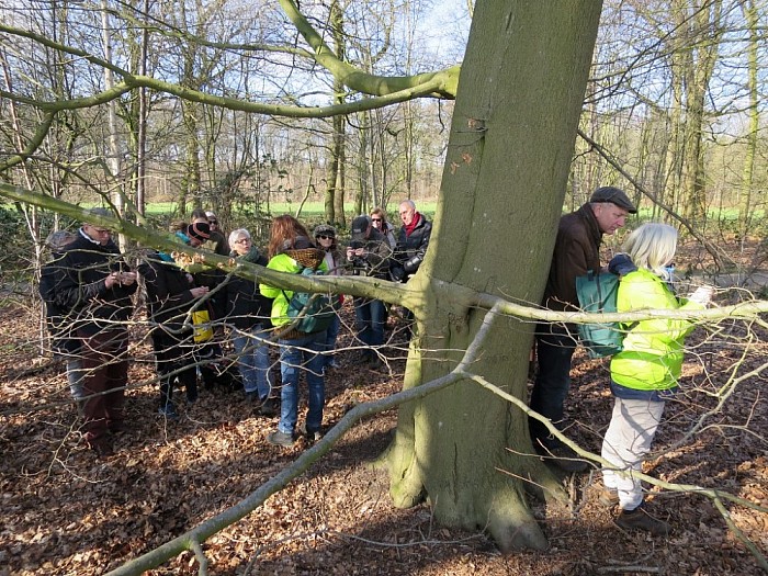 IVN wandeling op de Horte 30 deelnemers - Foto: Wim