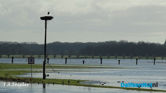 Ooievaar terug aan de Vecht Dalfsen