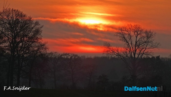 Dalfsuh bij zonsondergang - Foto: Eigen geleverde foto