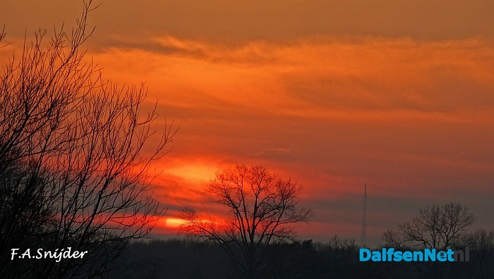 Dalfsuh bij zonsondergang - Foto: Eigen geleverde foto