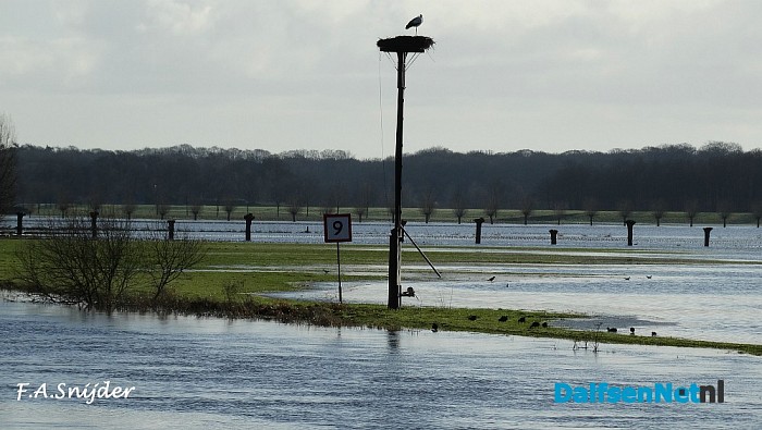 Ooievaar terug aan de Vecht Dalfsen