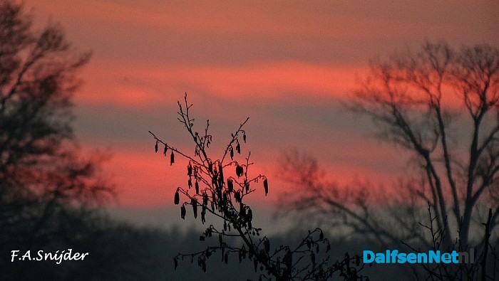 Dalfsuh bij zonsondergang - Foto: Eigen geleverde foto
