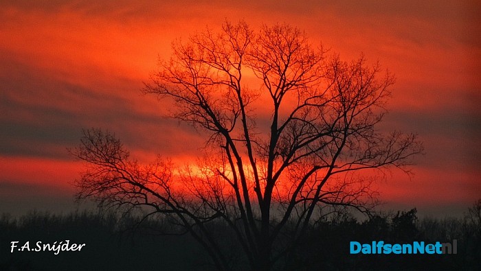 Dalfsuh bij zonsondergang - Foto: Eigen geleverde foto
