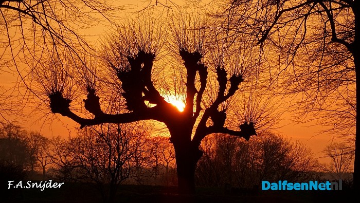 Dalfsuh bij zonsondergang - Foto: Eigen geleverde foto
