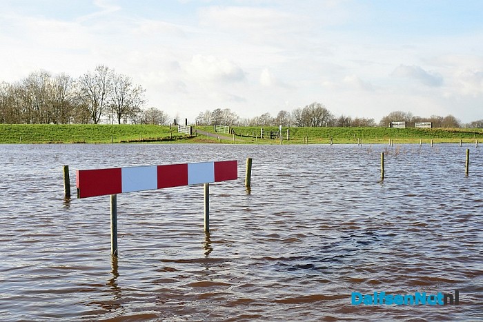 Overstroomde Vecht zorgt voor prachtige plaatjes - Foto: Johan Bokma