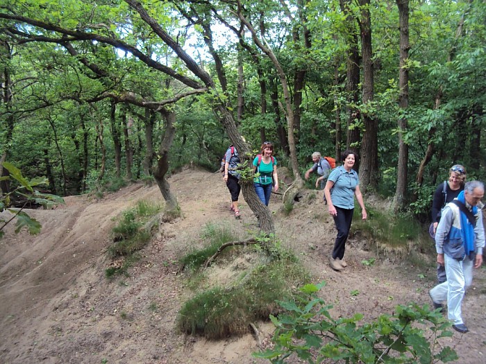 Wandelen door de Dalfser duinen - Foto: Eigen geleverde foto