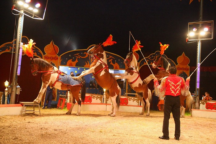 Win kaarten voor Familiecircus Alberti via Facebook - Foto: Eigen geleverde foto