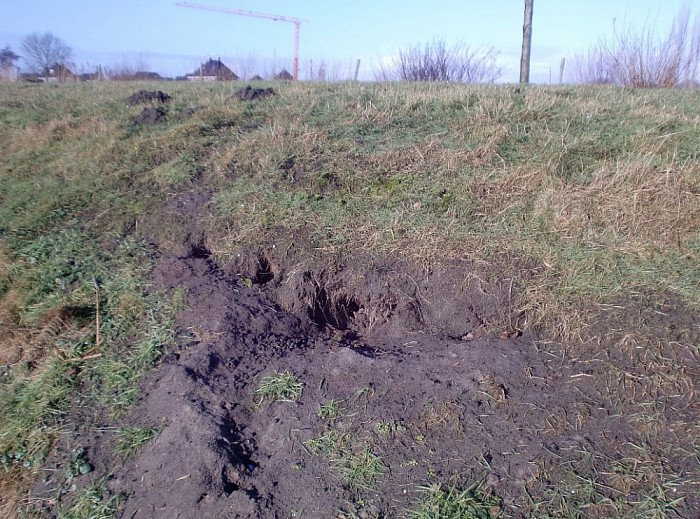 APK-keuring dijken weer van start - Foto: Eigen geleverde foto