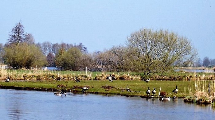 Weer mooie IVN wandeling - Foto: Eigen geleverde foto