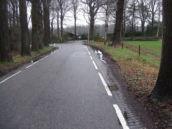 Bomen Heinoseweg sterven uit - Foto: Wim