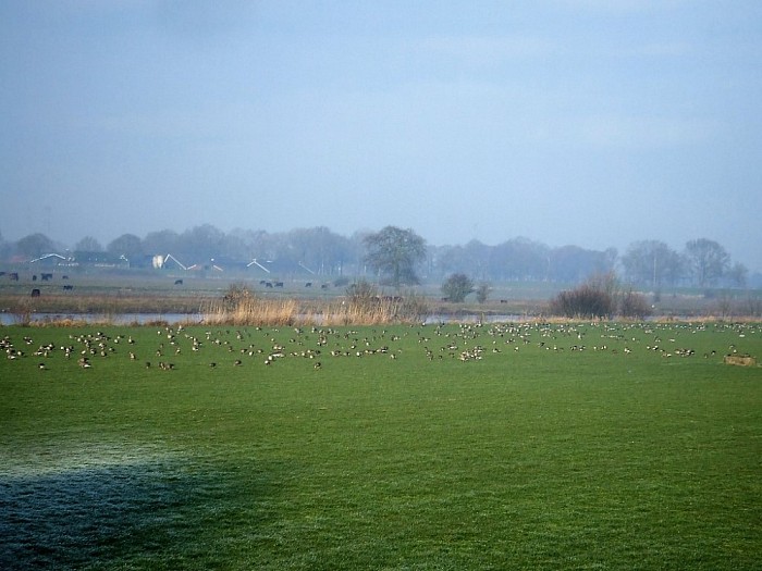Stuw Vechterweerd gestreken - Foto: Wim