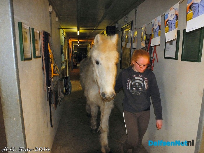 NL Doet ook bij “t, olde manegepeerd”. - Foto: H.G. Foto