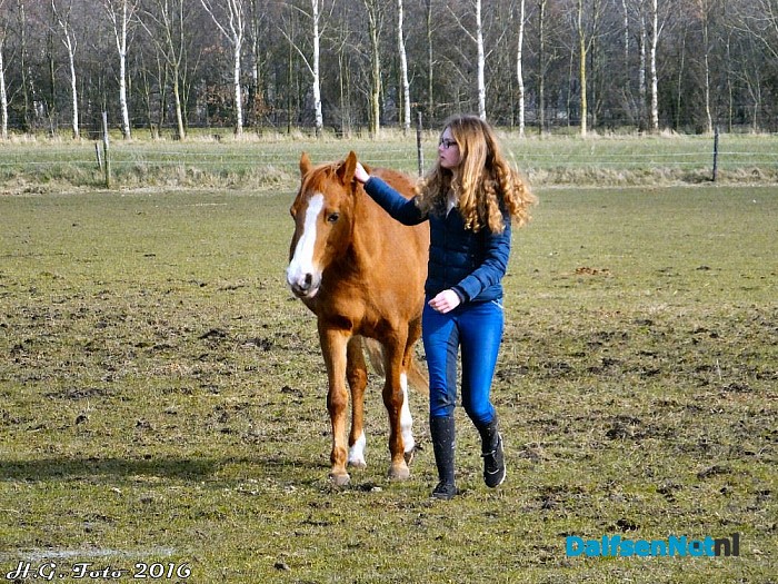 NL Doet ook bij “t, olde manegepeerd”. - Foto: H.G. Foto