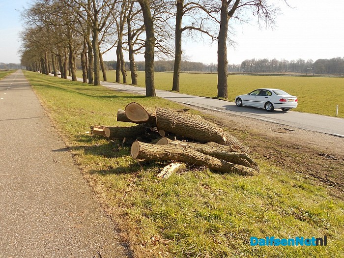 Veel besproken hout