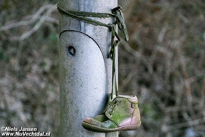 Wie de schoen past..