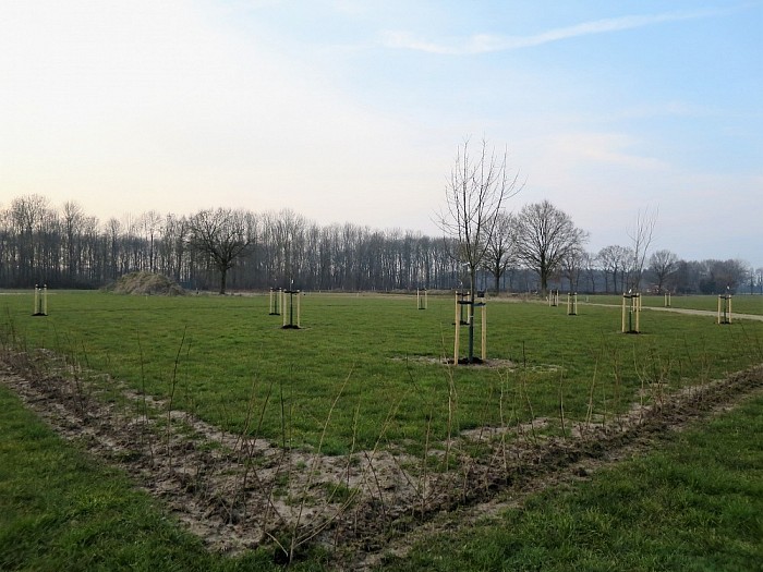 Woningbouw in Dalfsen op hoog tempo - Foto: Wim