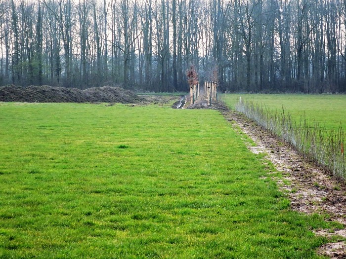 Woningbouw in Dalfsen op hoog tempo - Foto: Wim
