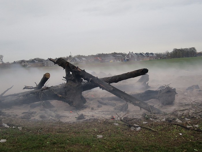 Veel boomstronken voor de jeugdsoos - Foto: Wim