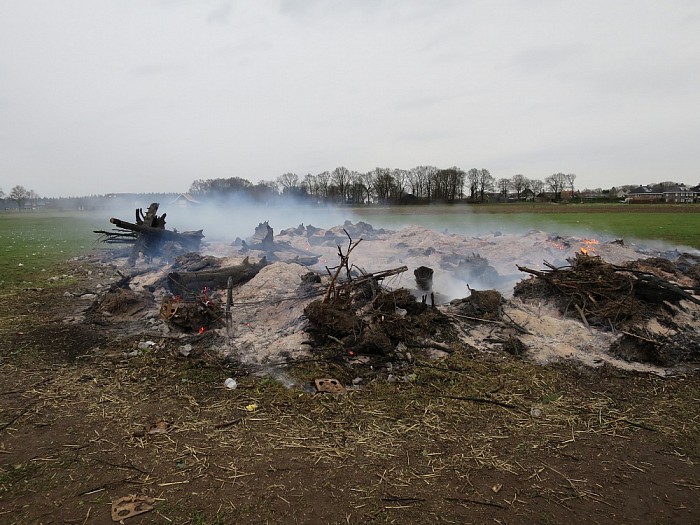 Veel boomstronken voor de jeugdsoos - Foto: Wim