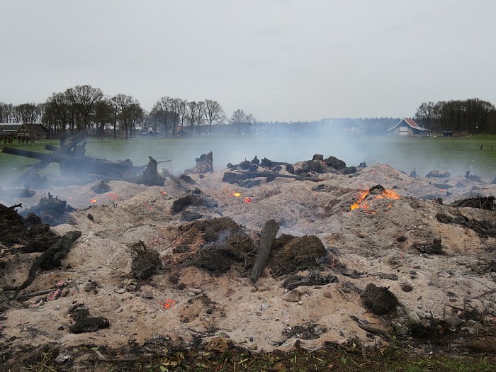 Veel boomstronken voor de jeugdsoos - Foto: Wim