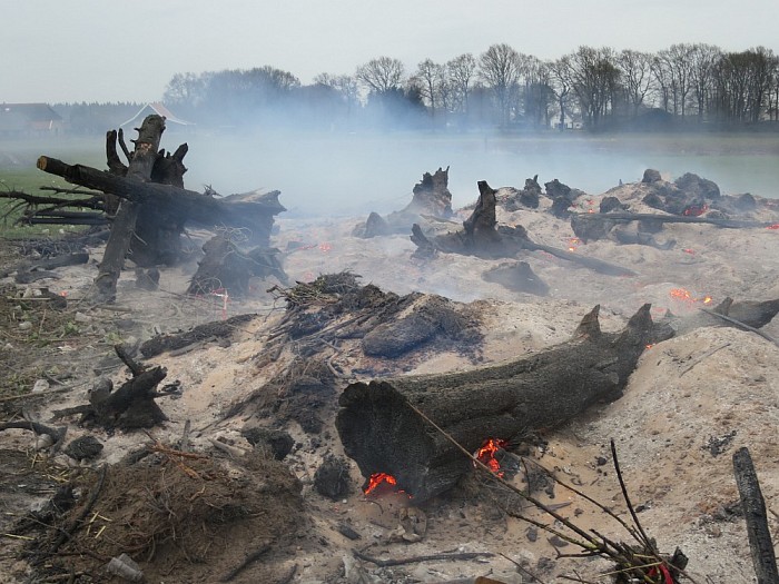 Veel boomstronken voor de jeugdsoos - Foto: Wim