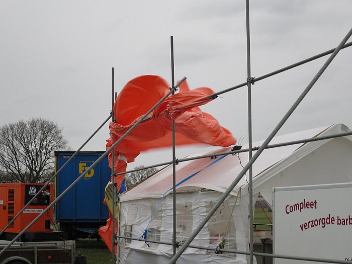 Veel boomstronken voor de jeugdsoos - Foto: Wim