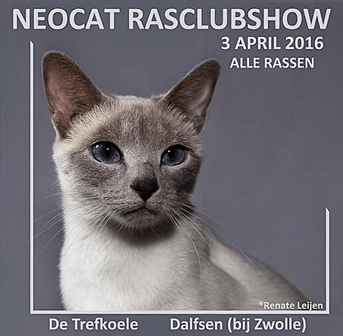 Rasclub show - Foto: Eigen geleverde foto