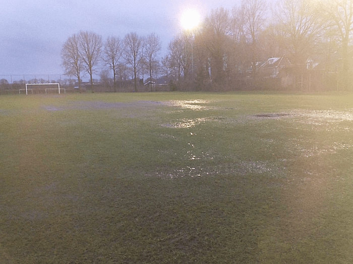 Is die vele regen een zegen? - Foto: Eigen geleverde foto