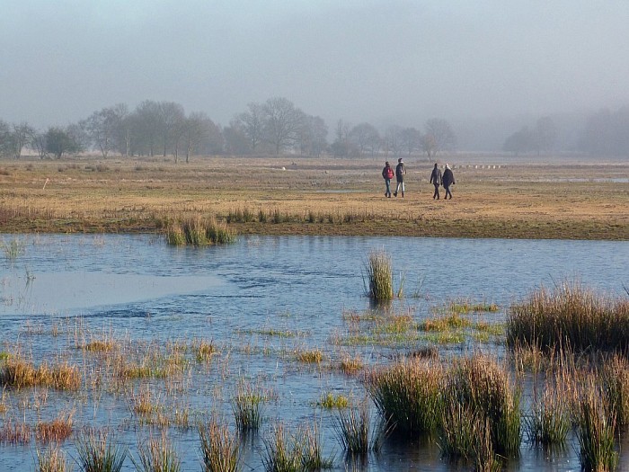 Foto-expositie “NATUUR” in Kulturhus ‘De Mozaiek’ - Foto: Eigen geleverde foto