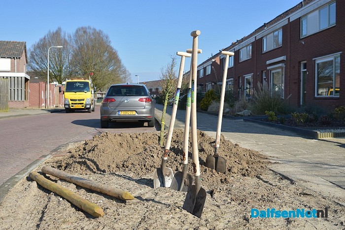 Boomfeestdag GBS de Uitleg in Dalfsen - Foto: Johan Bokma