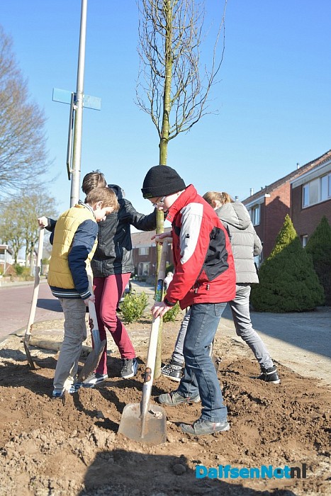 Boomfeestdag GBS de Uitleg in Dalfsen - Foto: Johan Bokma