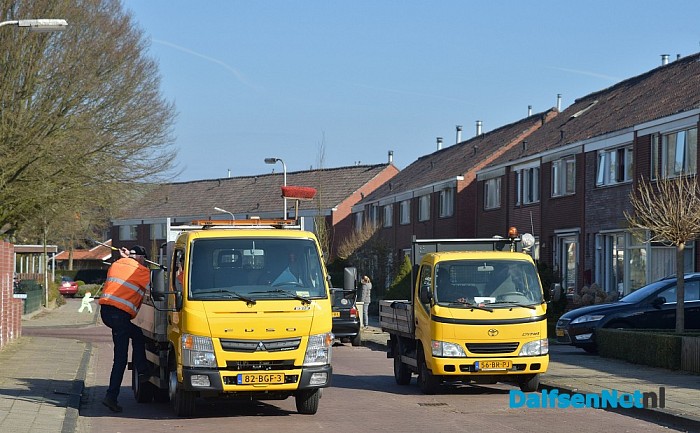 Boomfeestdag GBS de Uitleg in Dalfsen - Foto: Johan Bokma