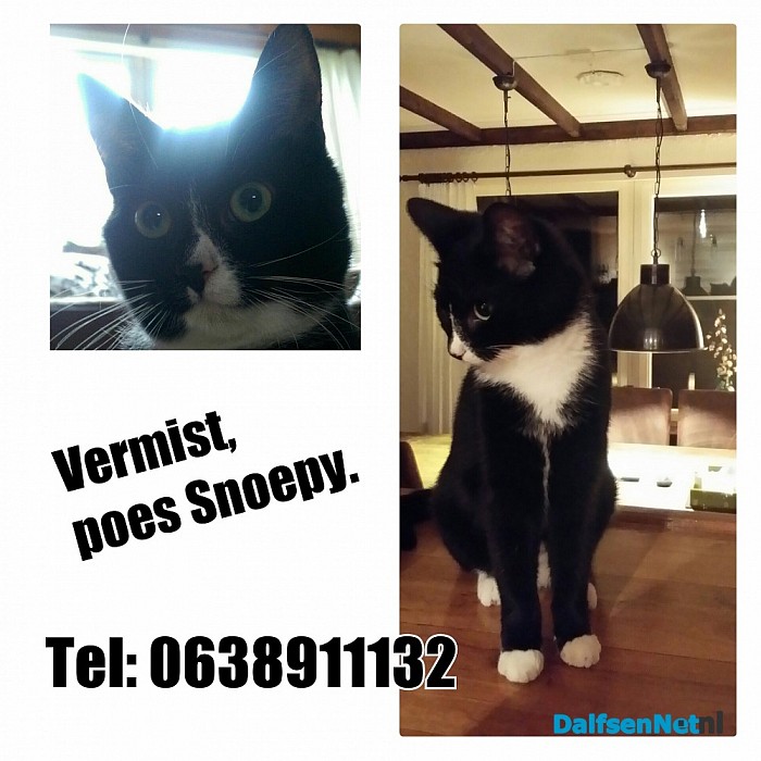 Vermist poes Snoepy