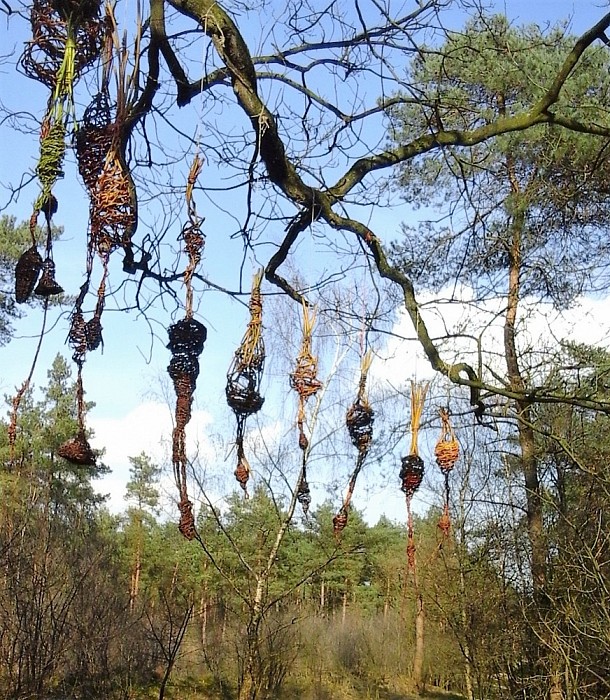 Het spookt in Vilsteren (update) - Foto: Eigen geleverde foto