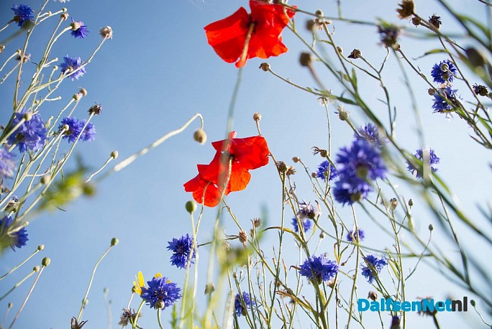 Zomercursus en workshop fotografie