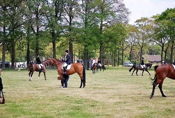 Hippisch evenement op landgoed Hessum - Foto: Eigen geleverde foto