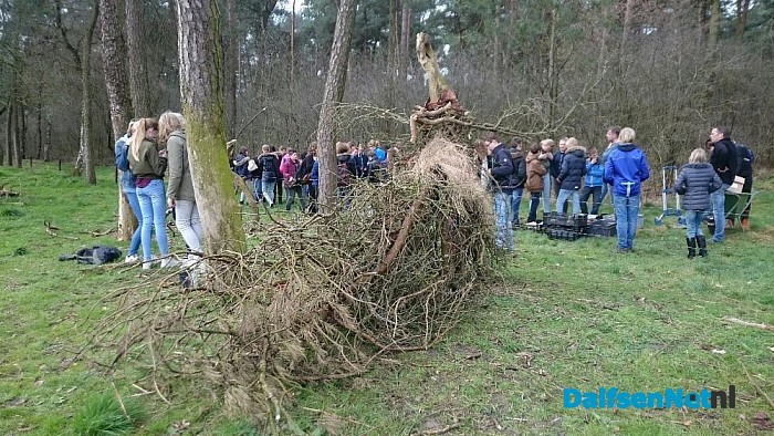 Ontdek kunst in het Willibrordusbos