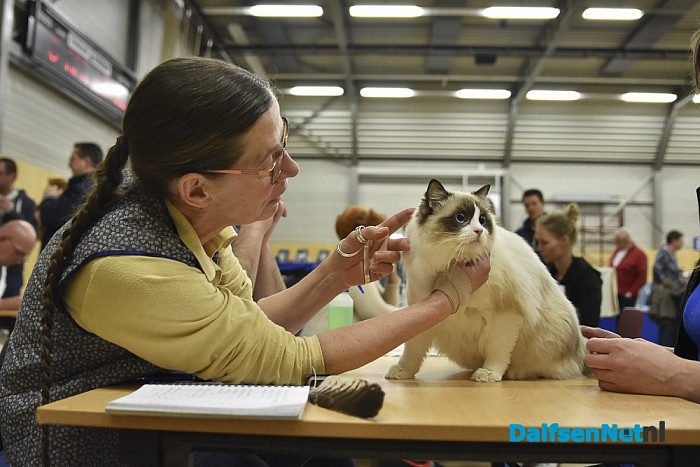 Neocat Rasclubshow 2016 - Foto: Johan Bokma