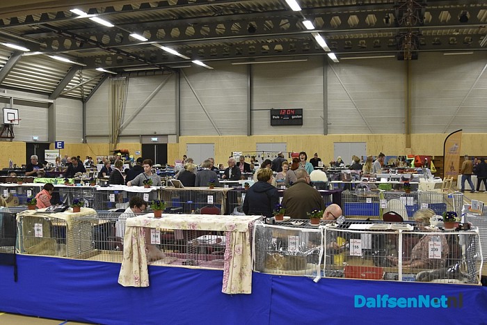 Neocat Rasclubshow 2016 - Foto: Johan Bokma