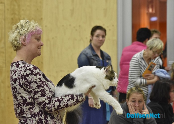 Neocat Rasclubshow 2016 - Foto: Johan Bokma