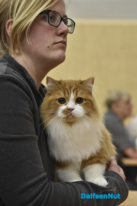 Neocat Rasclubshow 2016 - Foto: Johan Bokma